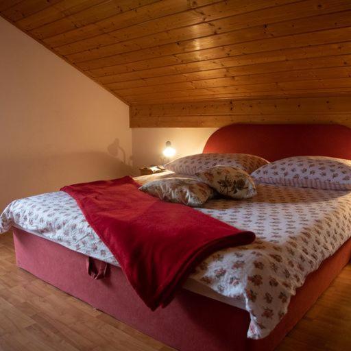 Guest House Ema Crni Lug Kültér fotó