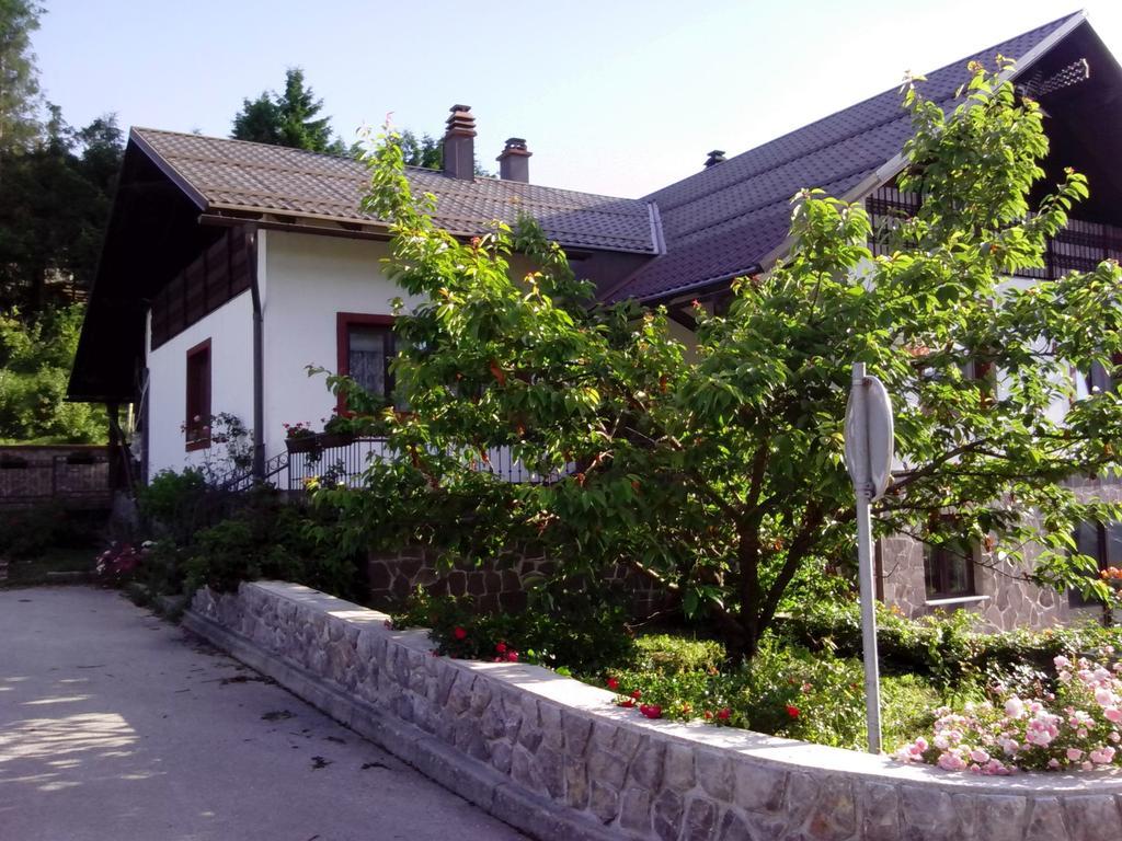 Guest House Ema Crni Lug Kültér fotó